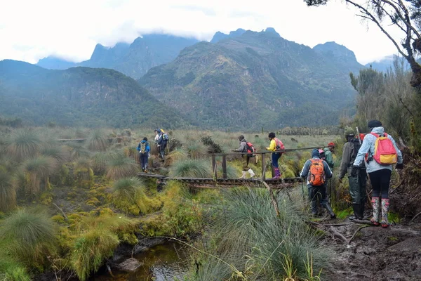Yürüyüşçüler Rwenzori Dağları Milli Parkı, Uganda, bir grup