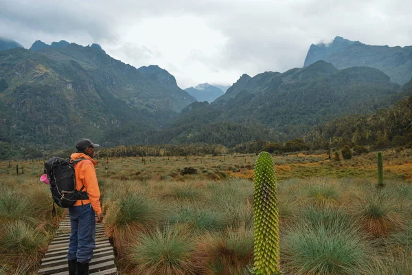 Grupo Excursionistas Parque Nacional Las Montañas Rwenzori Uganda — Foto de Stock