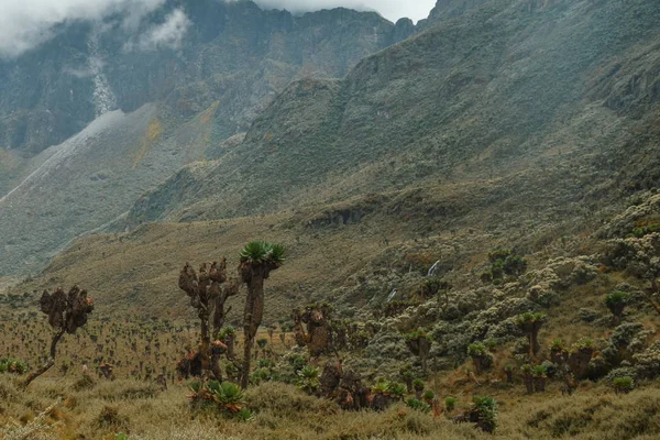 Escenarios Paisajes Montaña Contra Cielo Cordillera Ruanda Uganda — Foto de Stock