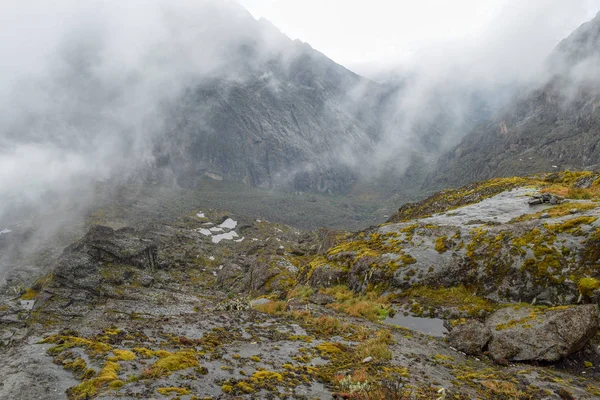 Monte Baker Sulle Montagne Del Rwenzori Uganda — Foto Stock