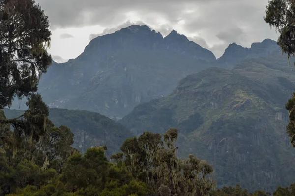 Rwenzori Dağları, Uganda Baker Dağı