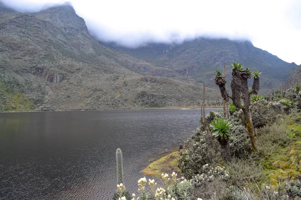 Lago Contra Fondo Montañoso Brumoso Lago Bujuku Parque Nacional Las — Foto de Stock