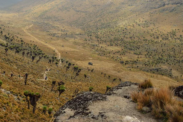 Los Paisajes Volcánicos Del Parque Nacional Monte Kenia Kenia — Foto de Stock