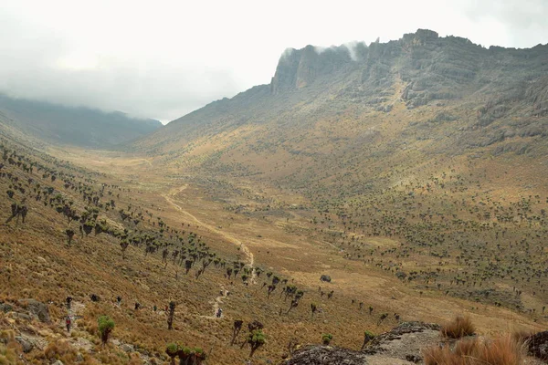 Los Paisajes Volcánicos Del Parque Nacional Monte Kenia Kenia — Foto de Stock