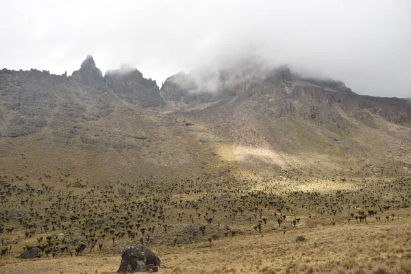 Los Paisajes Volcánicos Del Parque Nacional Monte Kenia Kenia — Foto de Stock
