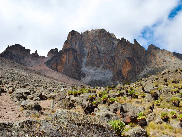 Los Paisajes Volcánicos Del Parque Nacional Monte Kenia Kenia — Foto de Stock