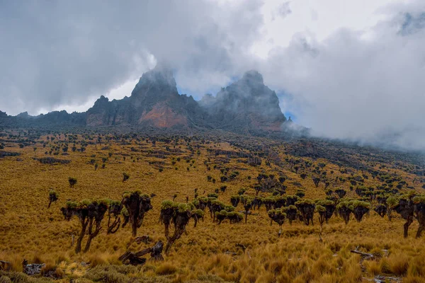 Paisagens Vulcânicas Parque Nacional Monte Quênia Quênia — Fotografia de Stock