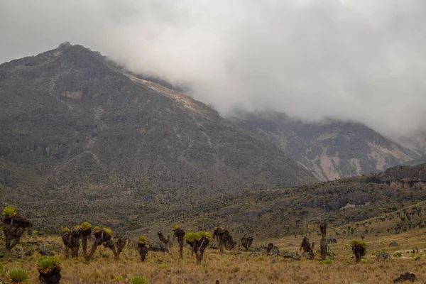 Volcanic landscapes of Mount Kenya, Kenya