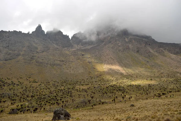 Paisajes Volcánicos Del Monte Kenia Kenia — Foto de Stock