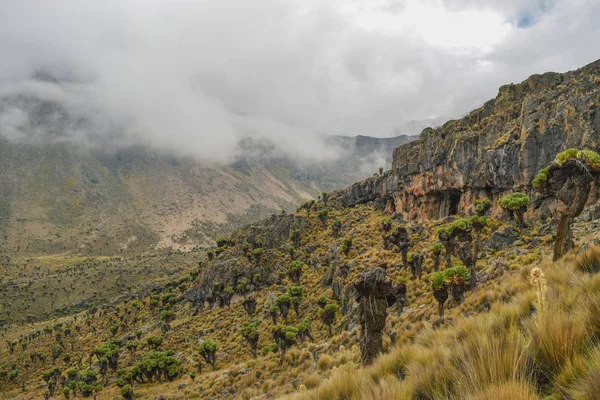 Paisagens Vulcânicas Monte Quénia Quénia — Fotografia de Stock