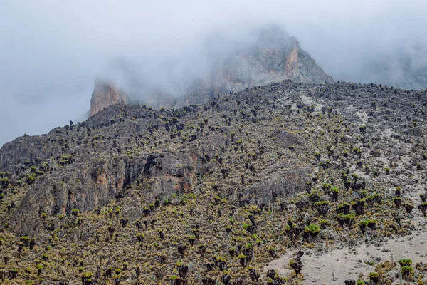 Volcanic landscapes of Mount Kenya, Kenya