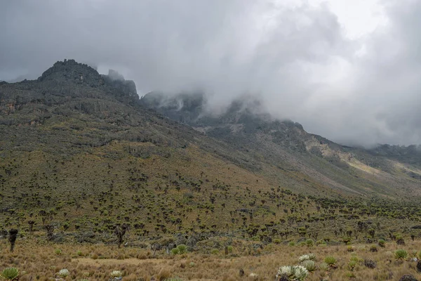 Vulkanische Landschappen Van Mount Kenya Kenya — Stockfoto