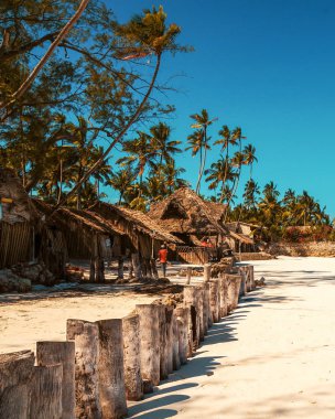 Zanzibar, Uroa Körfezi 'nin kumlu plajı.