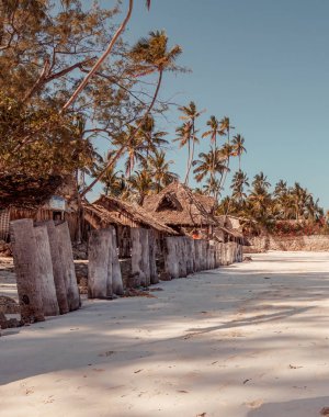 Zanzibar, Uroa Körfezi 'nin kumlu plajı.