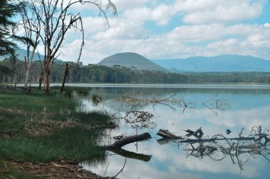 Dağ arka planda göl, Elementaita Gölü kıyılarında yürüyüş, Naivasha