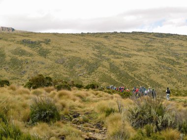 Gökyüzüne karşı panoramik dağ manzaraları, Kenya Dağı Ulusal Parkı, Kenya