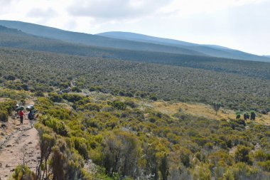 Tanzanya 'nın Kilimanjaro Dağı' ndaki panoramik dağ manzaraları