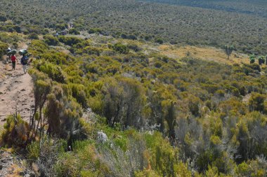 Tanzanya 'nın Kilimanjaro Dağı' ndaki panoramik dağ manzaraları