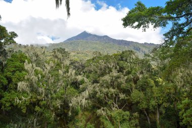 Gökyüzüne karşı manzaralı dağ manzaraları, Meru Dağı, Arusha Ulusal Parkı, Tanzanya