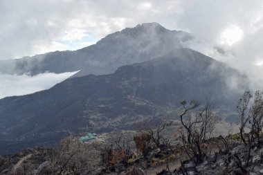 Mount Meru ve eyer kulübe Little Meru, Arusha Ulusal Parkı, Tanzanya zirvesinden görüldü