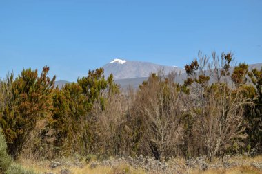 Tanzanya 'nın Kilimanjaro Dağı' ndaki panoramik dağ manzaraları