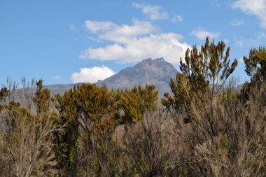 Tanzanya 'nın Kilimanjaro Dağı' ndaki panoramik dağ manzaraları
