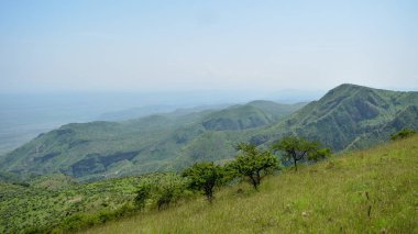 Savannah otlak bir dağ arka plan, Mount oloroka, Kenya karşı