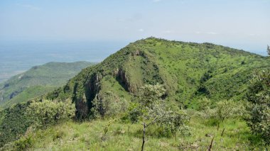 Savannah otlak bir dağ arka plan, Mount oloroka, Kenya karşı