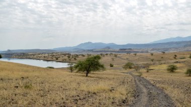 Magadi Gölü 'nün kurak manzaraları, Rift Vadisi, Kenya