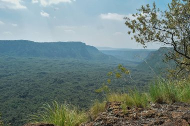 Suswa Dağı volkanik krateri boyunca yürüyüş, Kenya