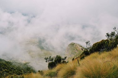 Aberdare aralıkları, Kenya sisli manzaralar