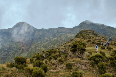 The foggy landscapes of Aberdare Ranges, Kenya clipart