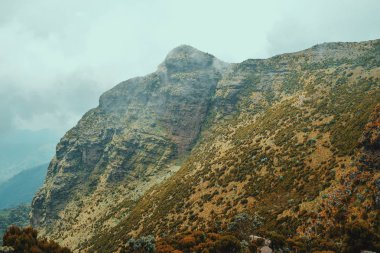 Aberdare aralıkları, Kenya sisli manzaralar