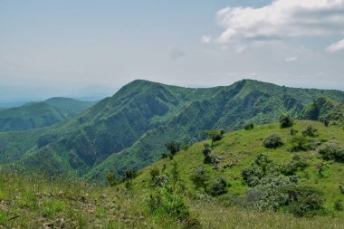 Bir dağ geçmişine karşı Savannah otlak, oloroka Sıradağları 'nda Mount OLE sekut, Kenya
