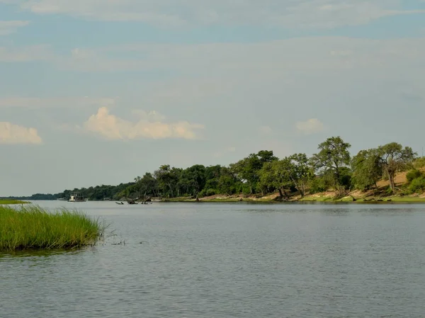 Cruzeiro Panorâmico Rio Chobe Parque Nacional Chobe Kasane Botsuana — Fotografia de Stock