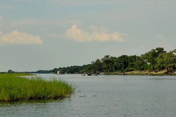 Malowniczy Rejs Zachodzie Słońca Nad Rzeką Chobe Park Narodowy Chobe — Zdjęcie stockowe