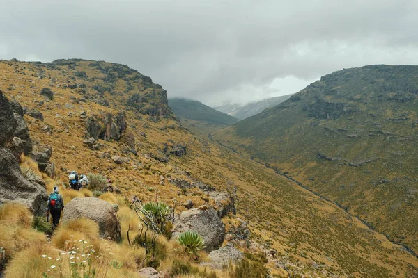 Gruppo Escursionisti Nei Panoramici Paesaggi Montani Del Monte Kenya — Foto Stock