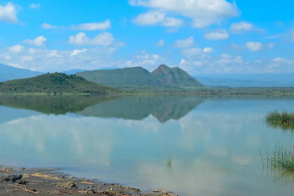 Lago Contra Fundo Montanha Caminhadas Nas Margens Lago Elementaita Naivasha — Fotografia de Stock