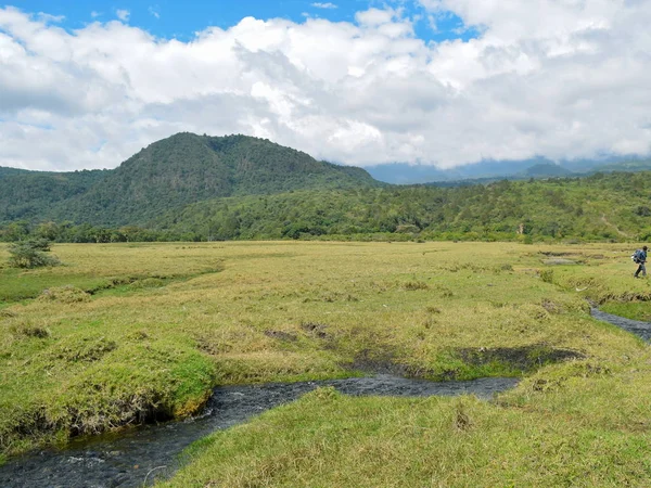 Gökyüzüne karşı manzaralı dağ manzaraları, Meru Dağı, Arusha Ulusal Parkı, Tanzanya