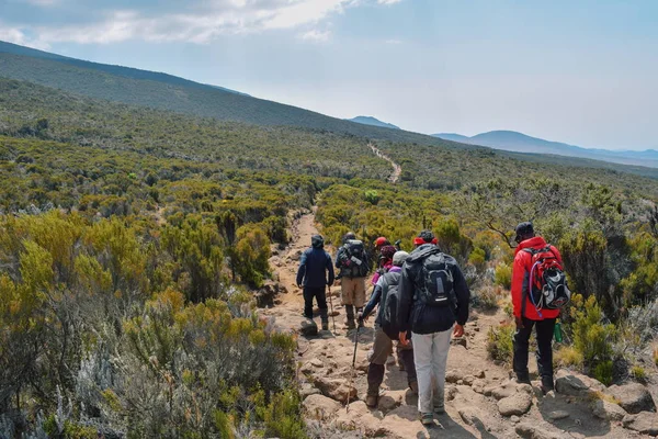Grupo Caminhantes Nas Paisagens Panorâmicas Montanha Monte Kilimanjaro Tanzânia — Fotografia de Stock