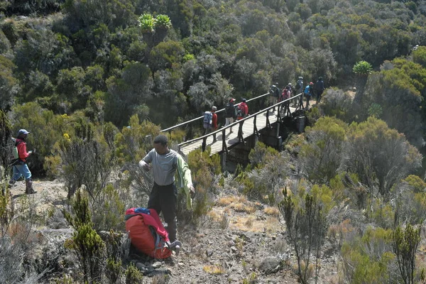 坦桑尼亚乞力马扎罗山全景山景中的一群徒步旅行者 — 图库照片