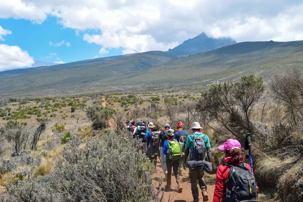 Kilimanjaro Dağı, Tanzanya 'nın panoramik dağ manzaralarında bir grup yürüyüşçü 