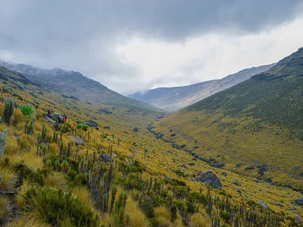 Gökyüzüne Karşı Panoramik Dağ Manzaraları Kenya Dağı Ulusal Parkı Kenya — Stok fotoğraf