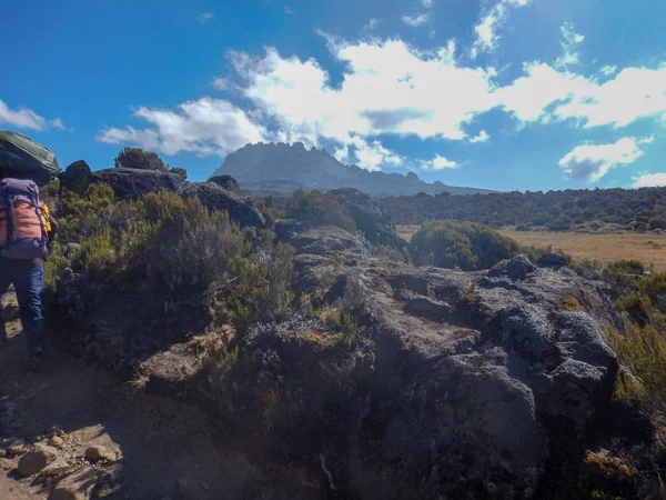 Panoramische Berglandschappen Mount Kilimanjaro Tanzania — Stockfoto