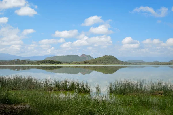 Wandelen Sleeping Warrior Hill Langs Oevers Van Lake Elementaita Naivasha — Stockfoto
