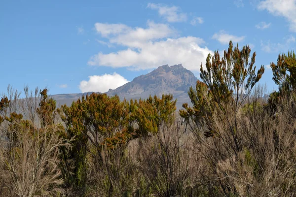 Panoramiczne Krajobrazy Górskie Górze Kilimandżaro Tanzania — Zdjęcie stockowe
