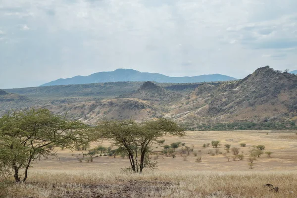 マガディ湖の乾燥した風景 リフトバレー ケニア — ストック写真
