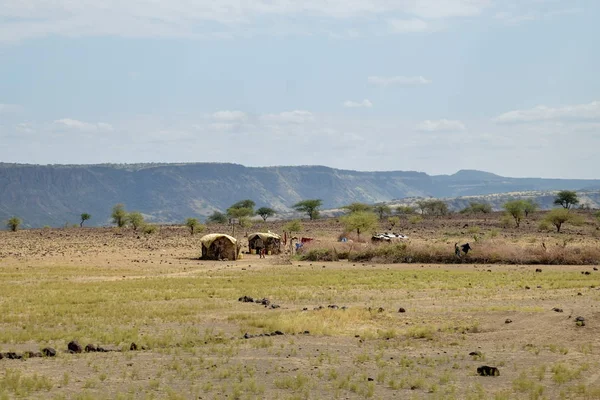 Game watching safari adventure in the arid landscapes of Lake Magadi, Kenya