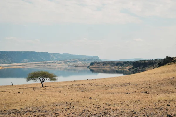 Arid Landscapes Lake Magadi Rift Valley Kenya — Stock Photo, Image