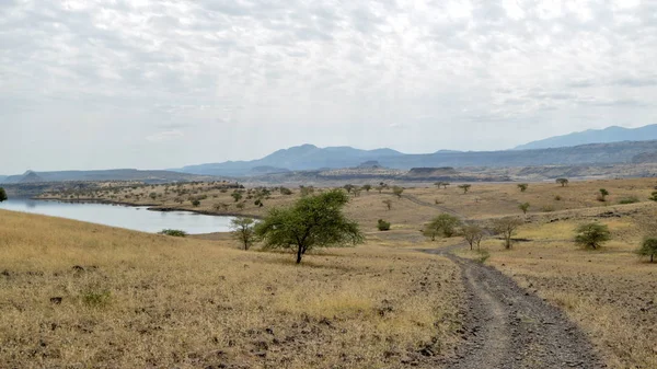 The arid landscapes of Lake Magadi, Rift Valley, Kenya